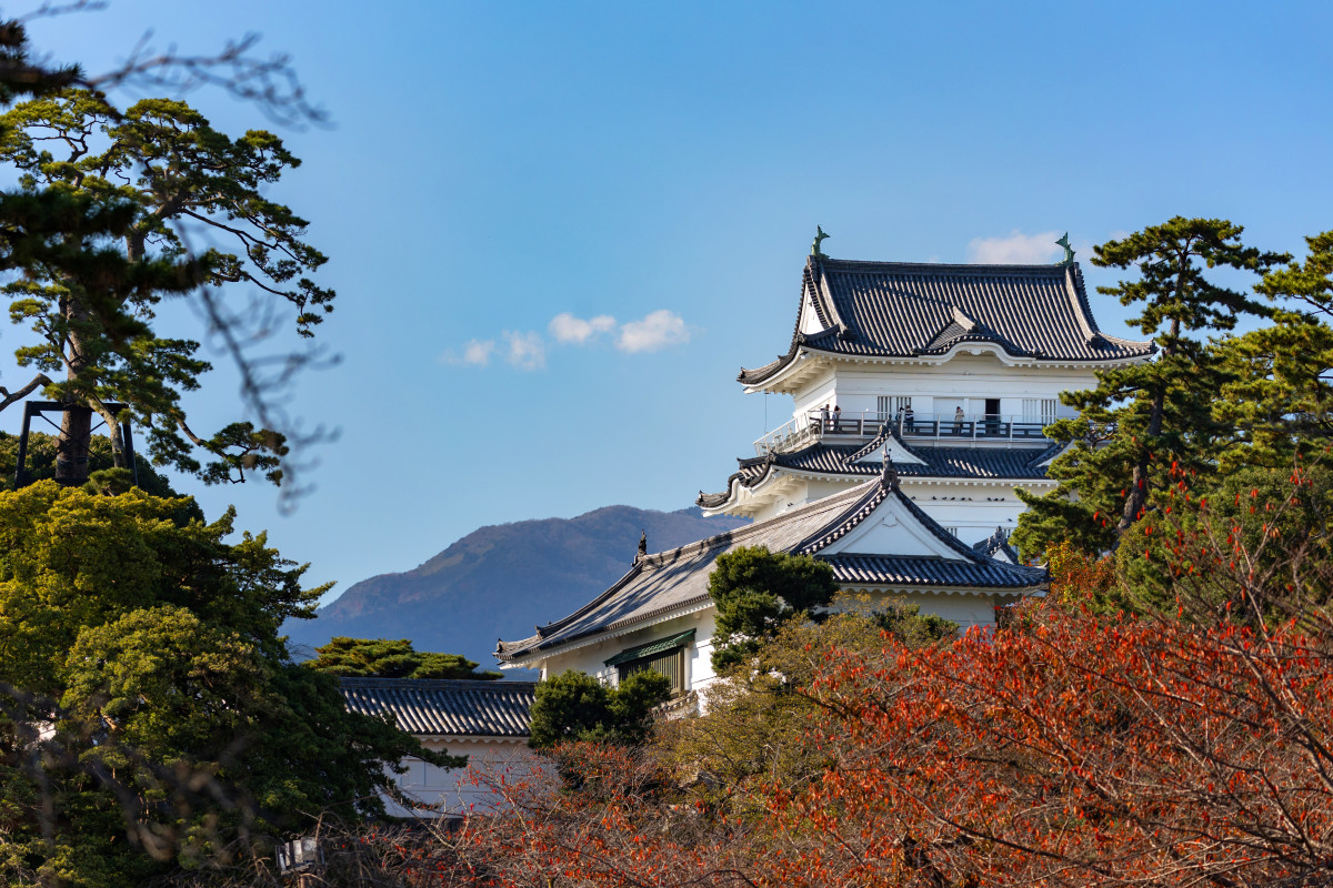 小田原 小田原城|体験・観光スポット |【公式】神奈川県のお出かけ・観光・旅行サイト「観光かながわNOW」